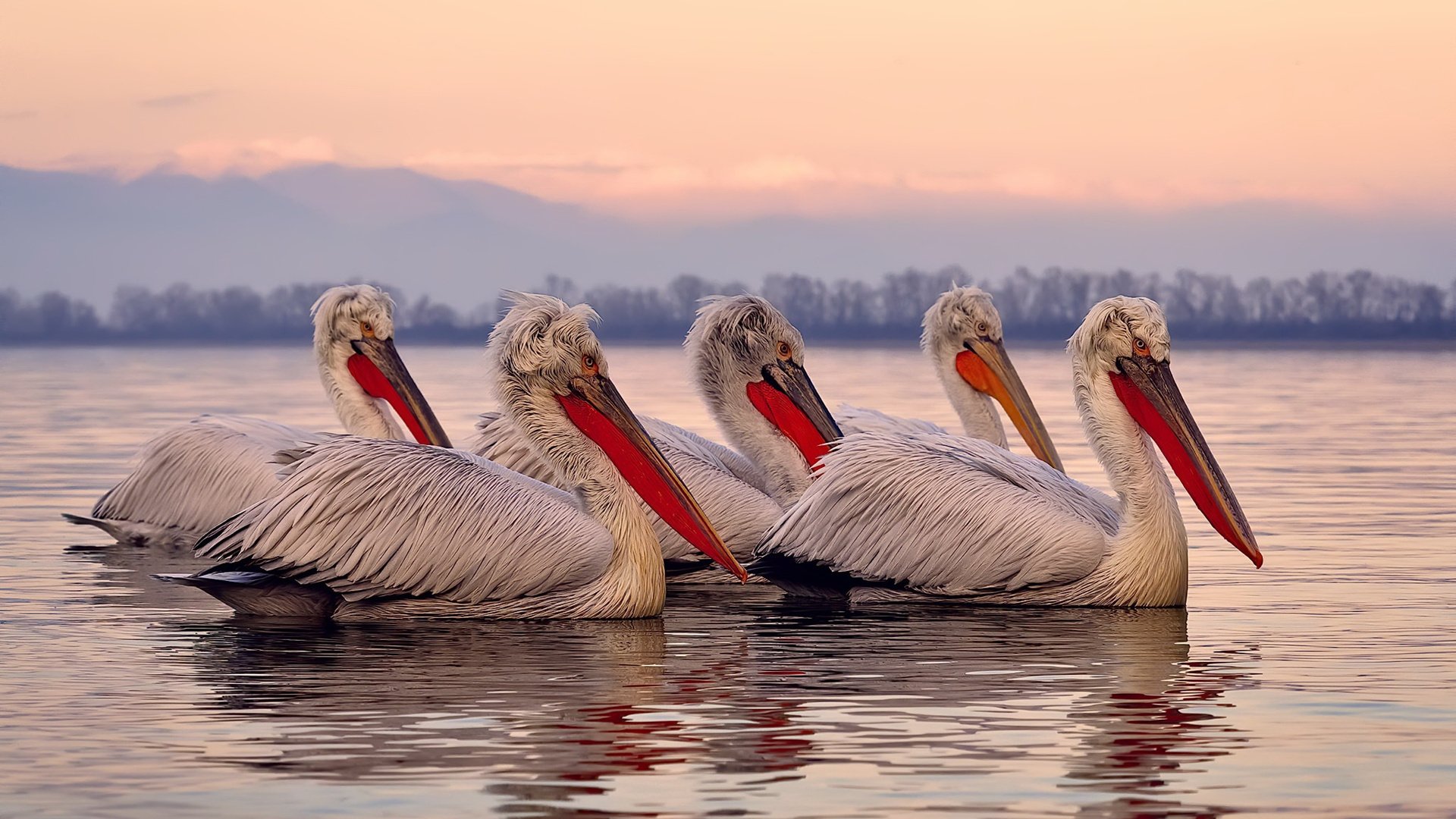 《Uzi宣布加入TOP战队,加盟背后蕴藏大秘密》,uzi团队