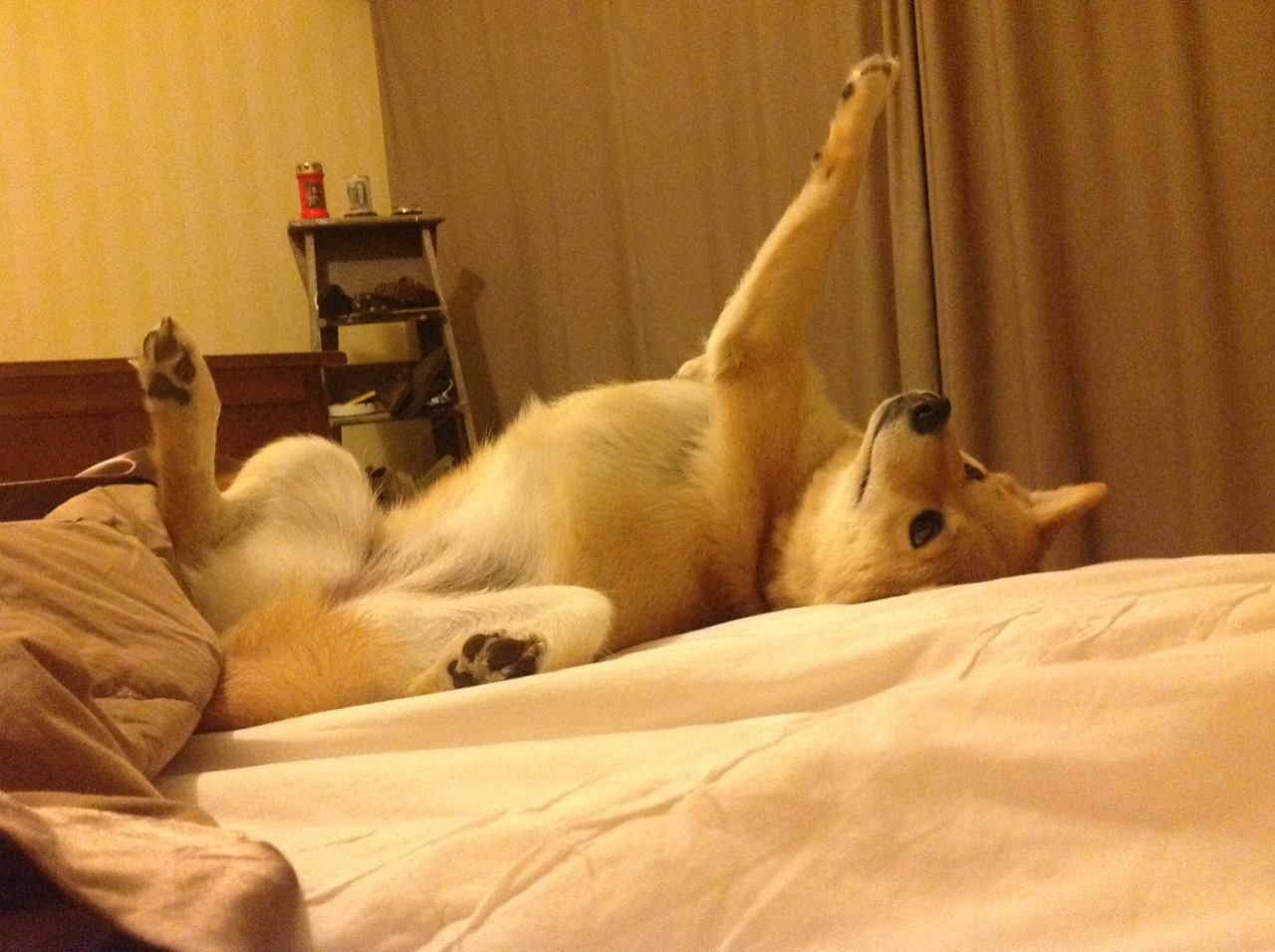 九游9游-《顶级战队夺冠秘籍：战术、训练与心态三管齐下》，lol顶级战队