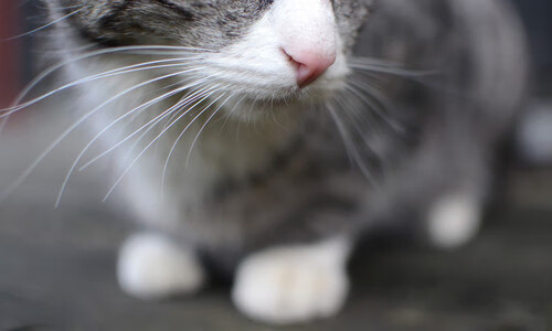 传奇“老将”新角色:退役后投身青训和公益事业,传奇主帅