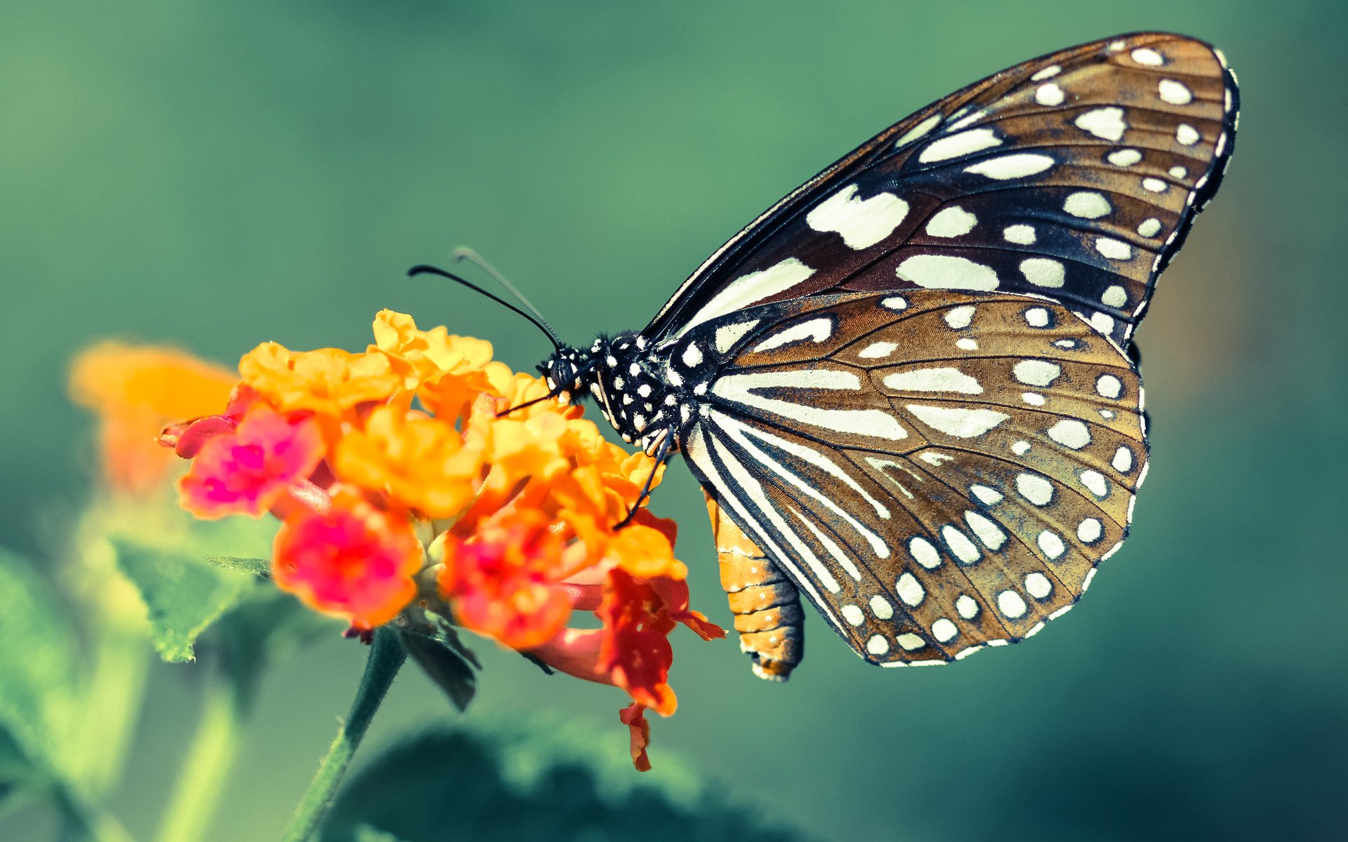 以“智慧体育”理念打造未来国际水准赛事平台,智慧体育产业发展有限公司