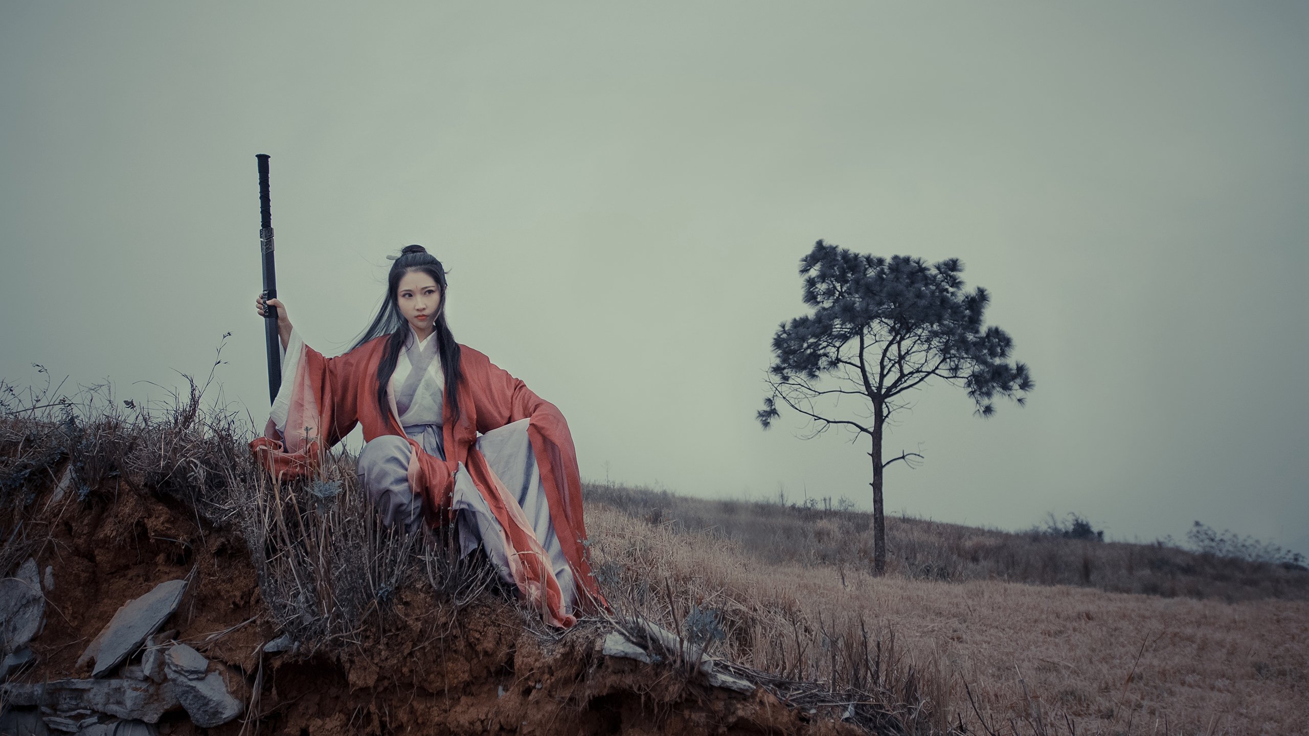 伊朗马术协会推出马匹健康管理系统,提升马匹福利。,伊朗 马赛克