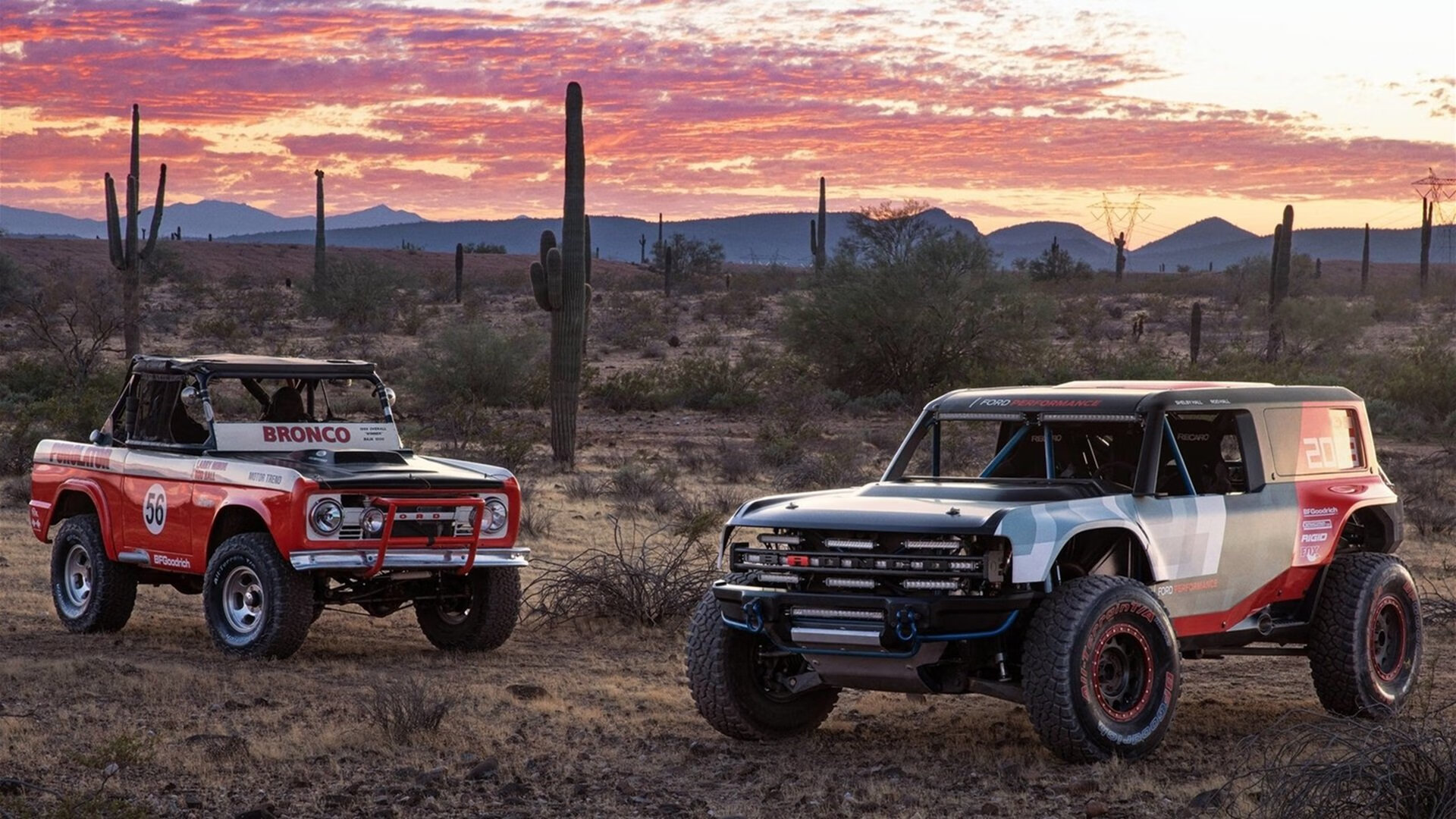 国际夜空星光瑜伽节,身心灵的静谧体验,星空瑜伽馆怎么样