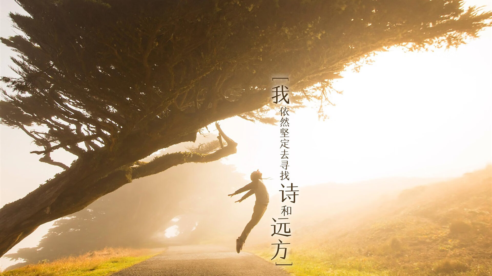 特色山地自行车夜骑,感受不同的运动氛围,自行车夜景