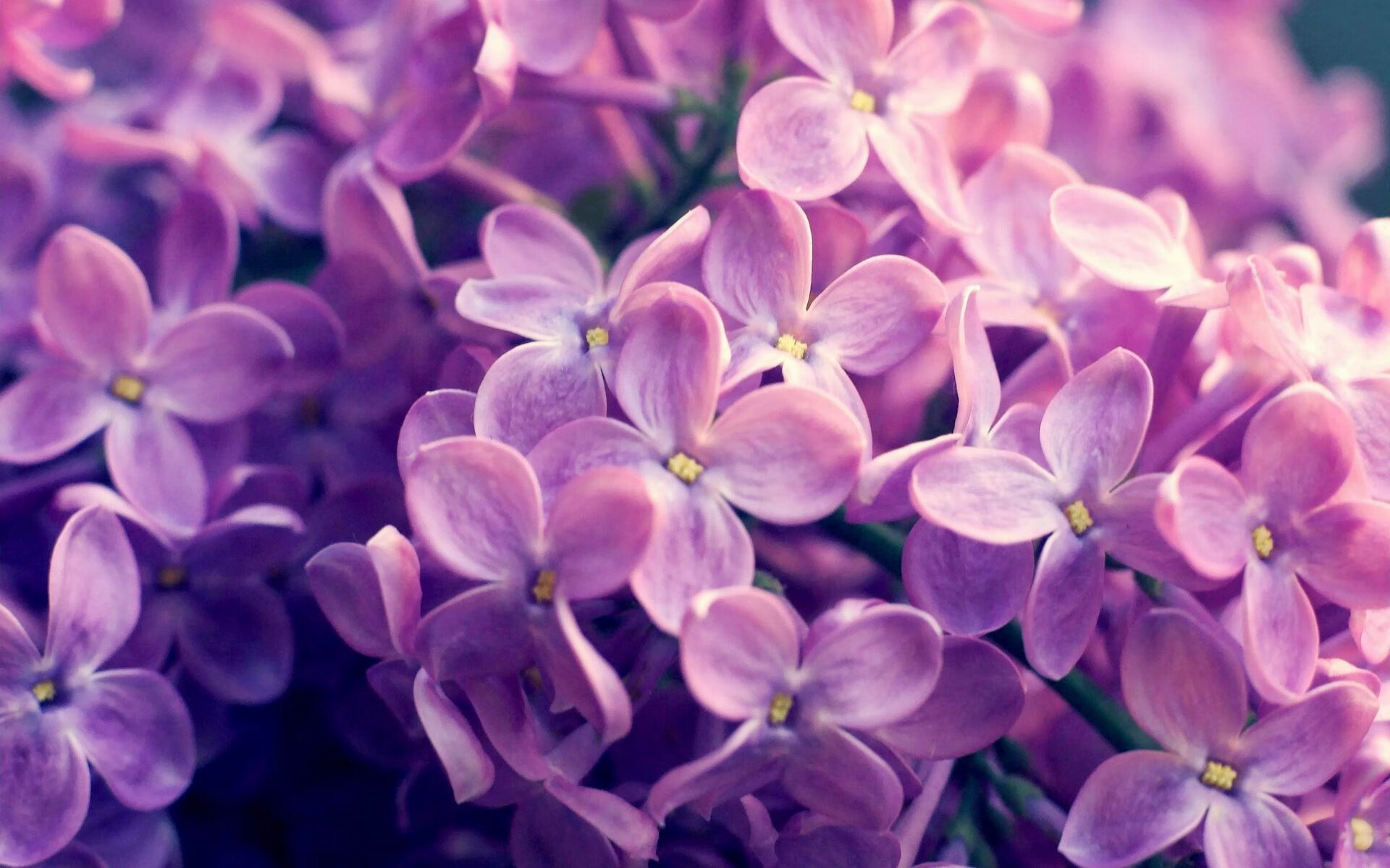 特色篮球品牌走出国门,打造具有中国元素的体育名片,篮球体育品牌排行榜