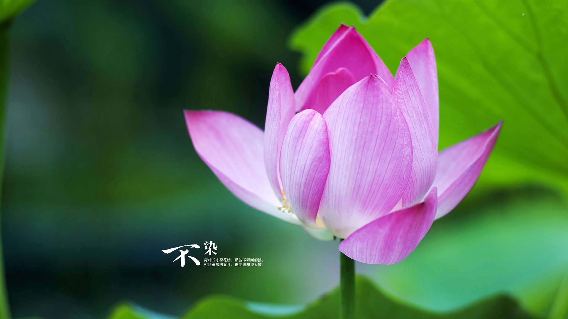 特色“足球+旅游+文化”产业融合示范区在行业内持续推广,足球特色园试点工作总结报告