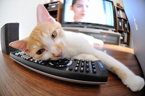 英超新赛季引入VAR技术,判罚更公平,英超 var