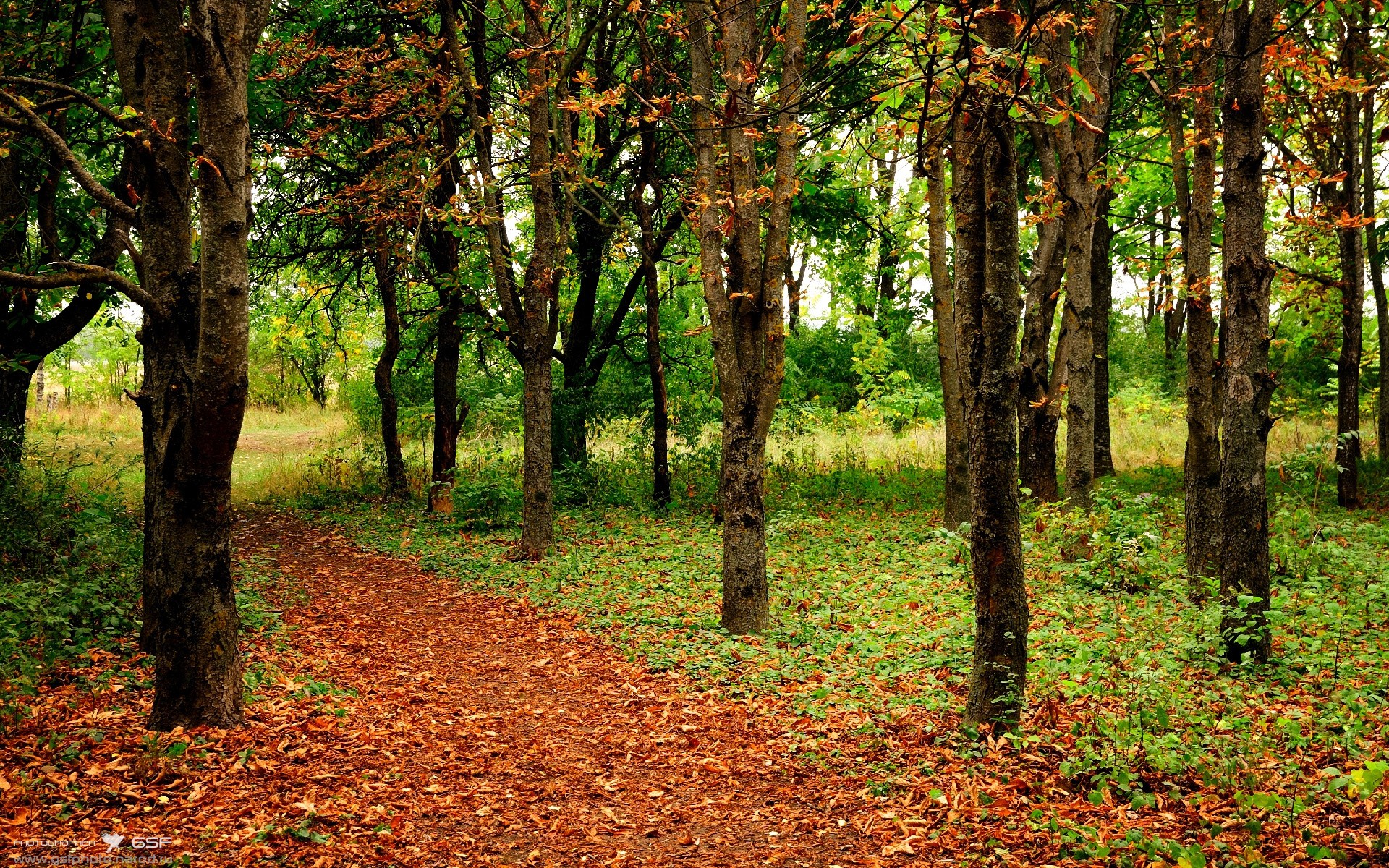 九游官网pc-辽阔草原夺羊比赛，传统竞技里的速度争锋