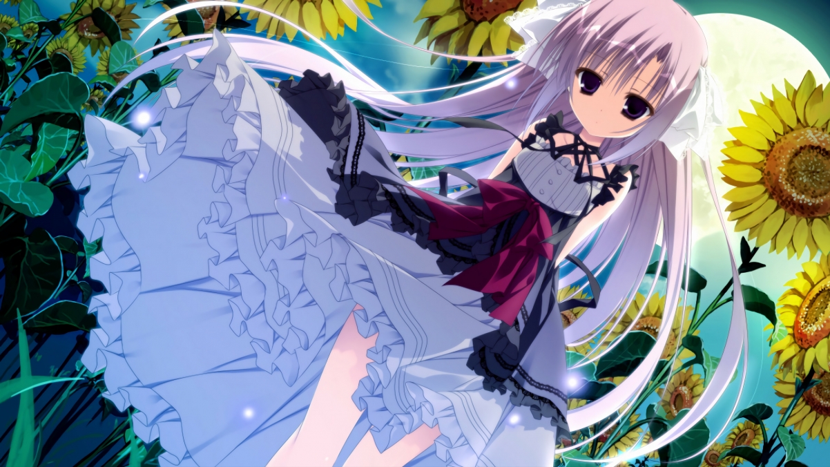 重点高校合作推行足球专项培养计划,挖掘人才潜力,足球特色学校招生制度