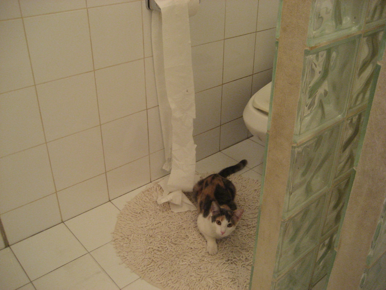 佩纳罗尔主场力克劲敌,佩纳罗尔vs蒙得维的亚国民