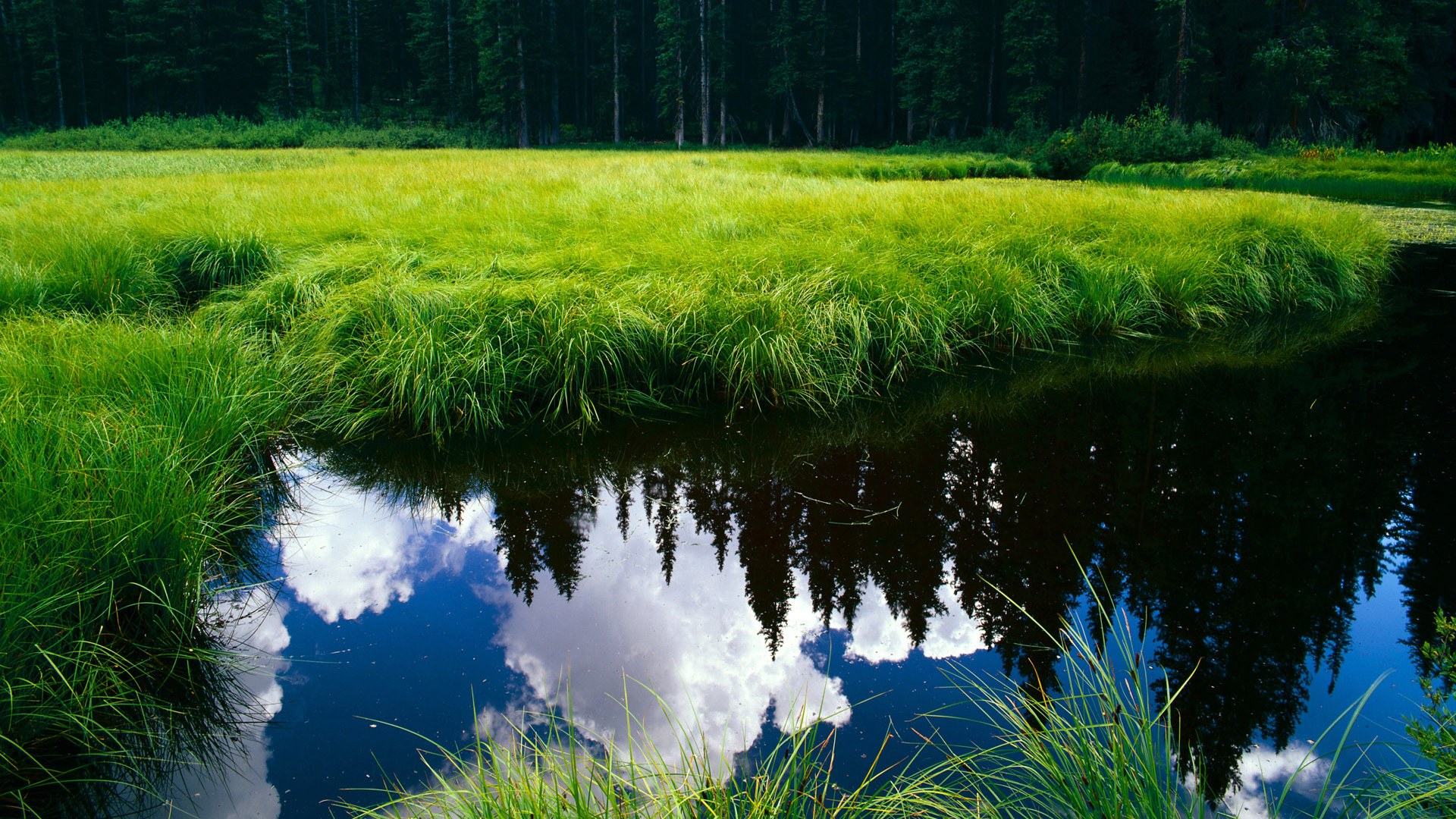 弗拉门戈体能储备充足,弗拉门戈对累体育