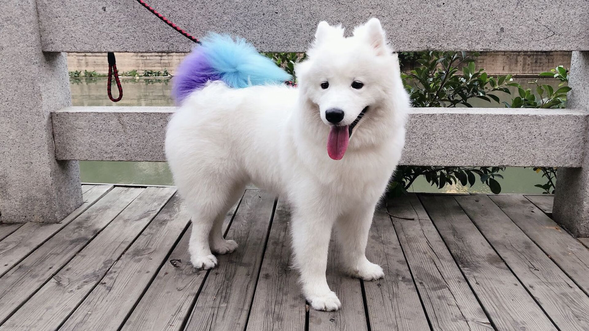 掘金逆转热火,西部决赛中约基奇创下生涯新高,约基奇西决数据