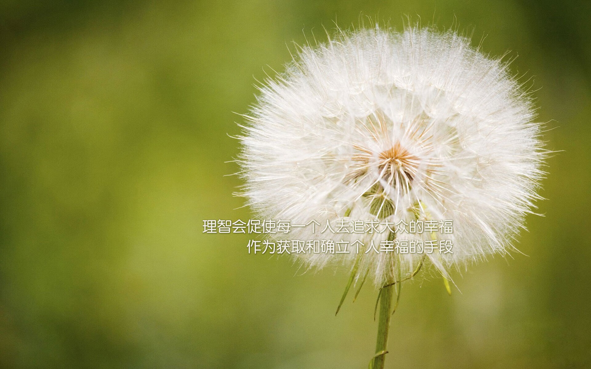 斯洛伐克队在欧洲比赛中大获全胜,实现逆袭,斯洛伐克队员名单