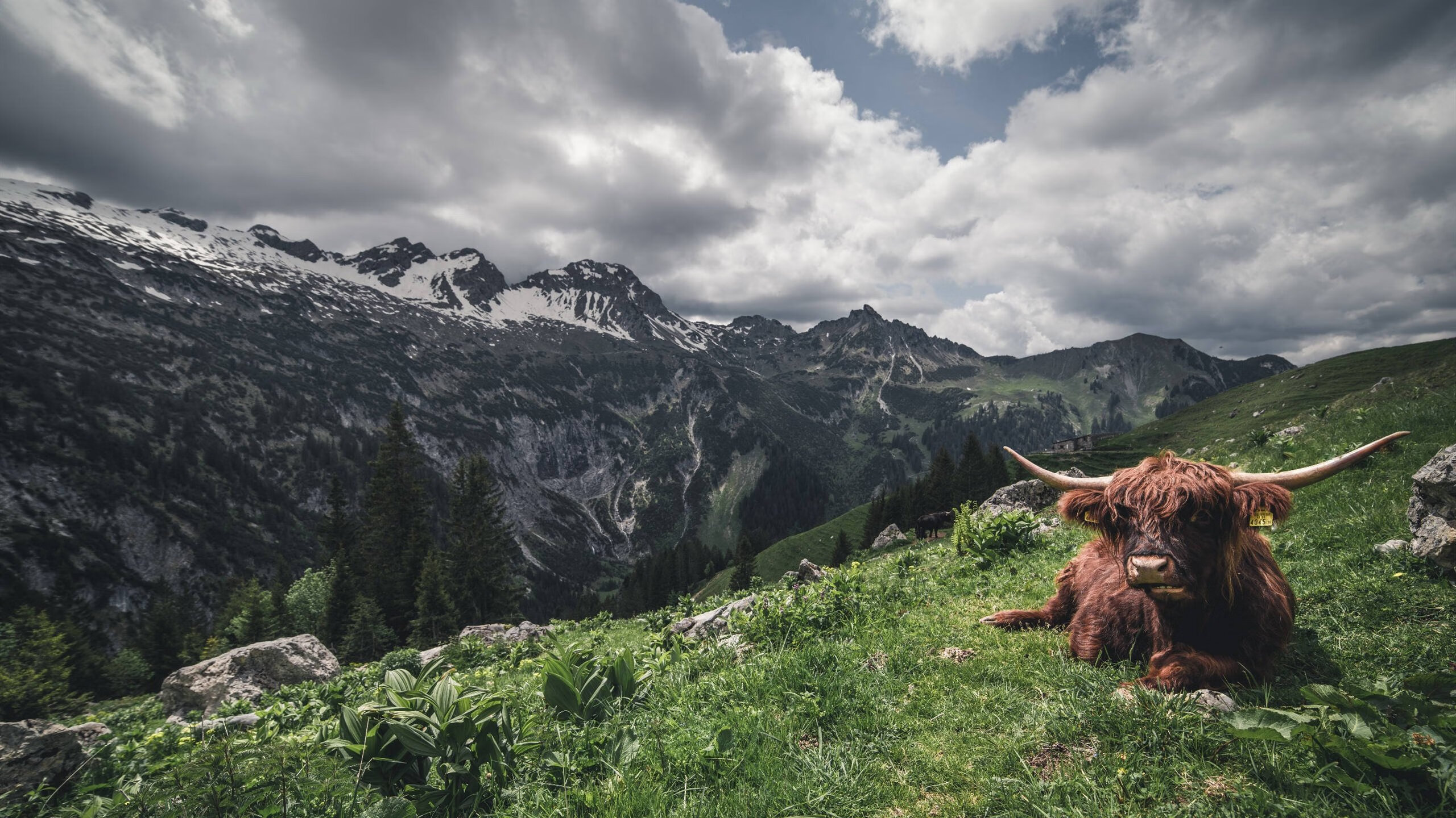 昂热连胜考验未过,教练组展望前途,昂热对南特的比分预测