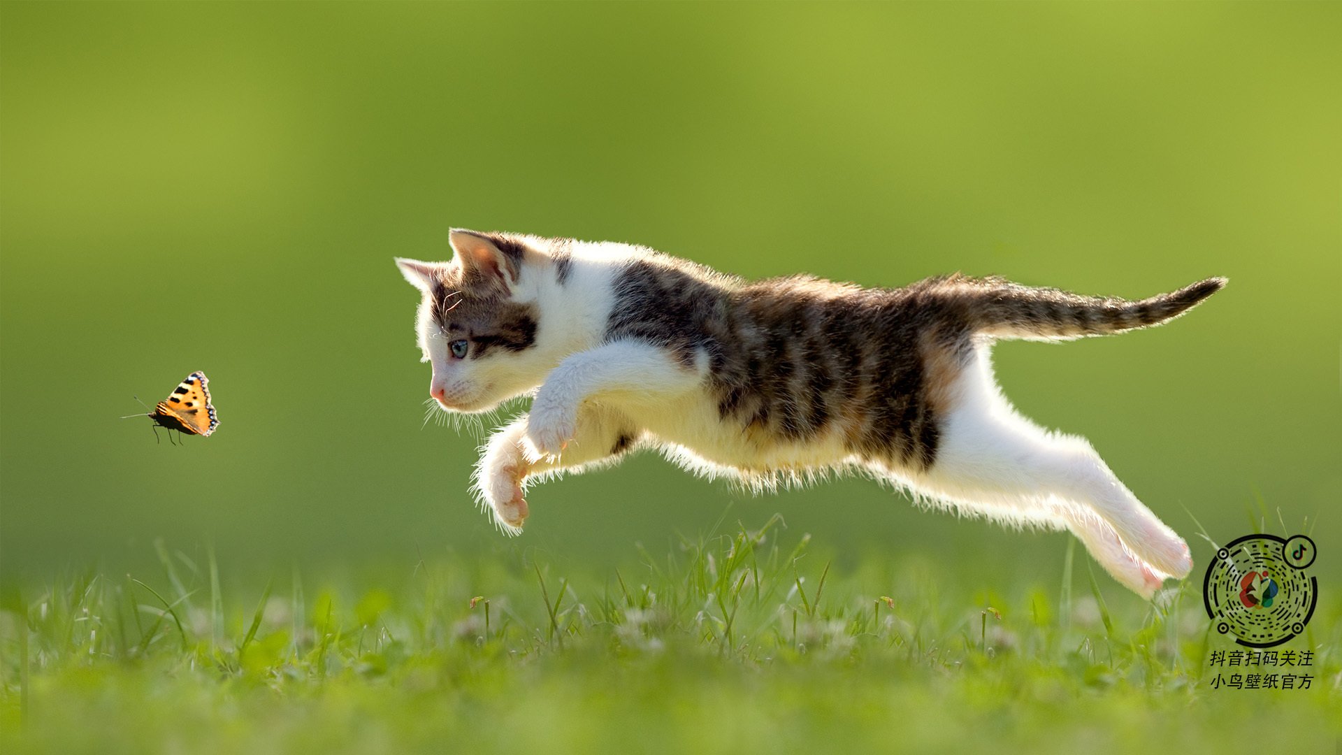 诺斯郡老将贡献绝杀,助球队豪取三分,诺斯01