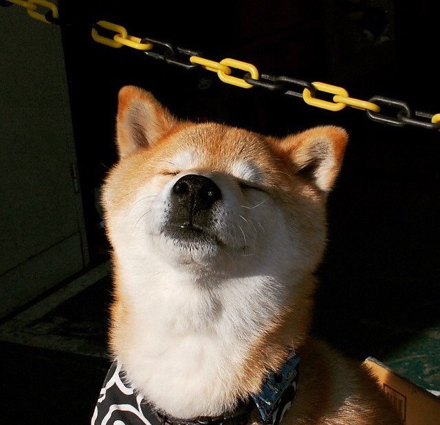 -那不勒斯主场告负，实力暴露问题，那不勒斯 主场