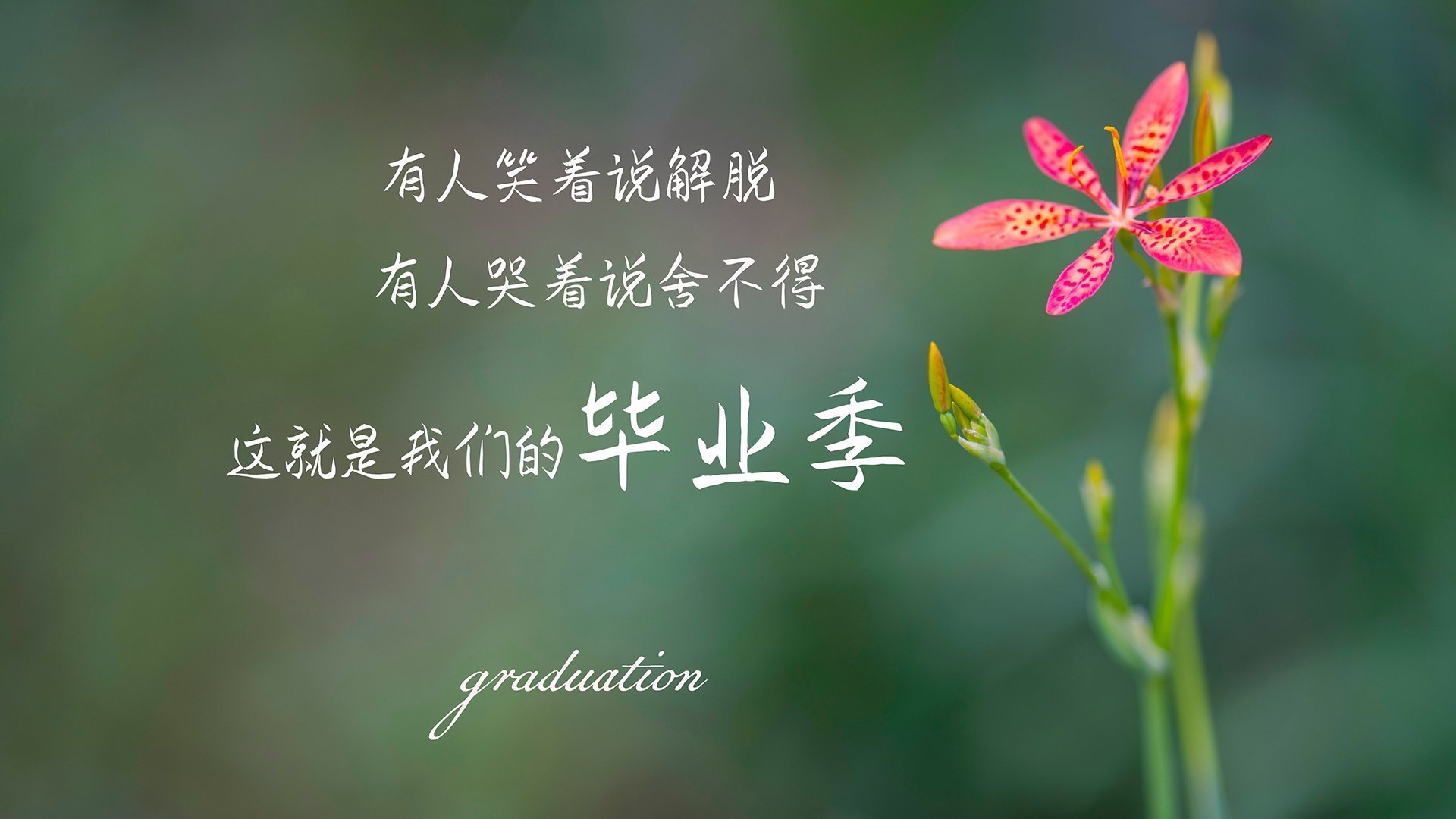 那不勒斯主场告负，实力暴露问题，那不勒斯 主场