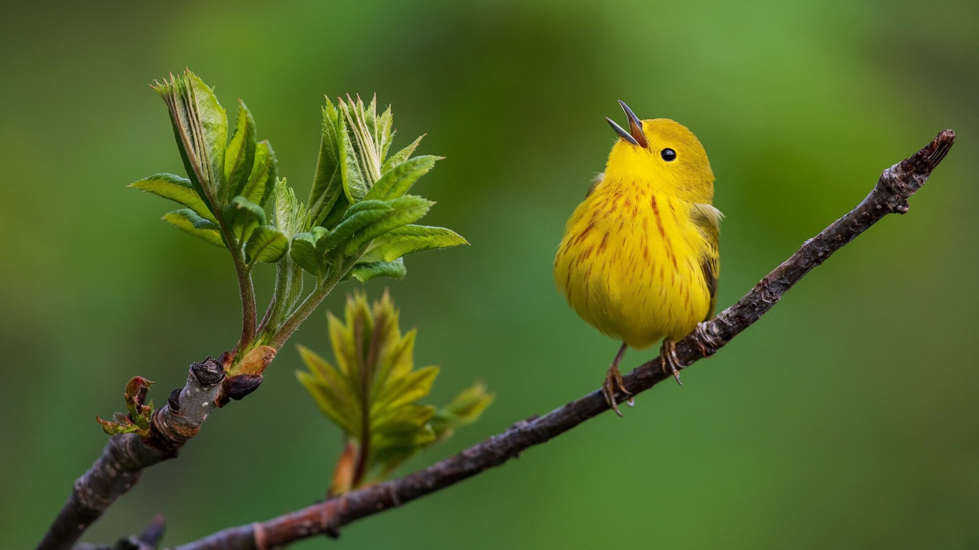 九游娱乐官网 (jiuyou)-体育产业投资回报分析报告，投资体育事业的行业