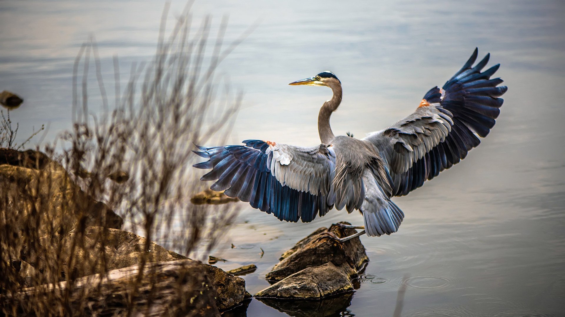 校园体育文化活动创新与推广研究,校园体育文化建设范畴包括