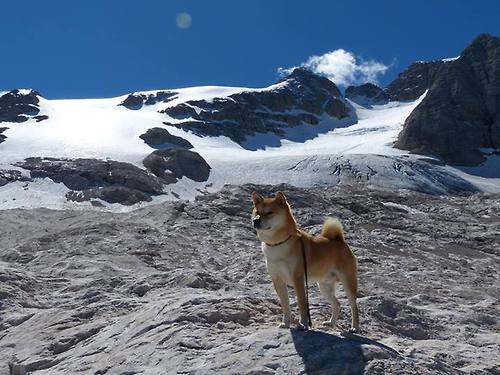高校运动队选拔机制公平性研究,高校运动队选拔机制公平性研究报告