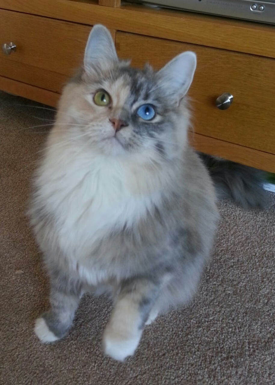 九游app下载中心-体育新闻中心开展体育内容创作者培育项目，体育新闻中心开展体育内容创作者培育项目活动