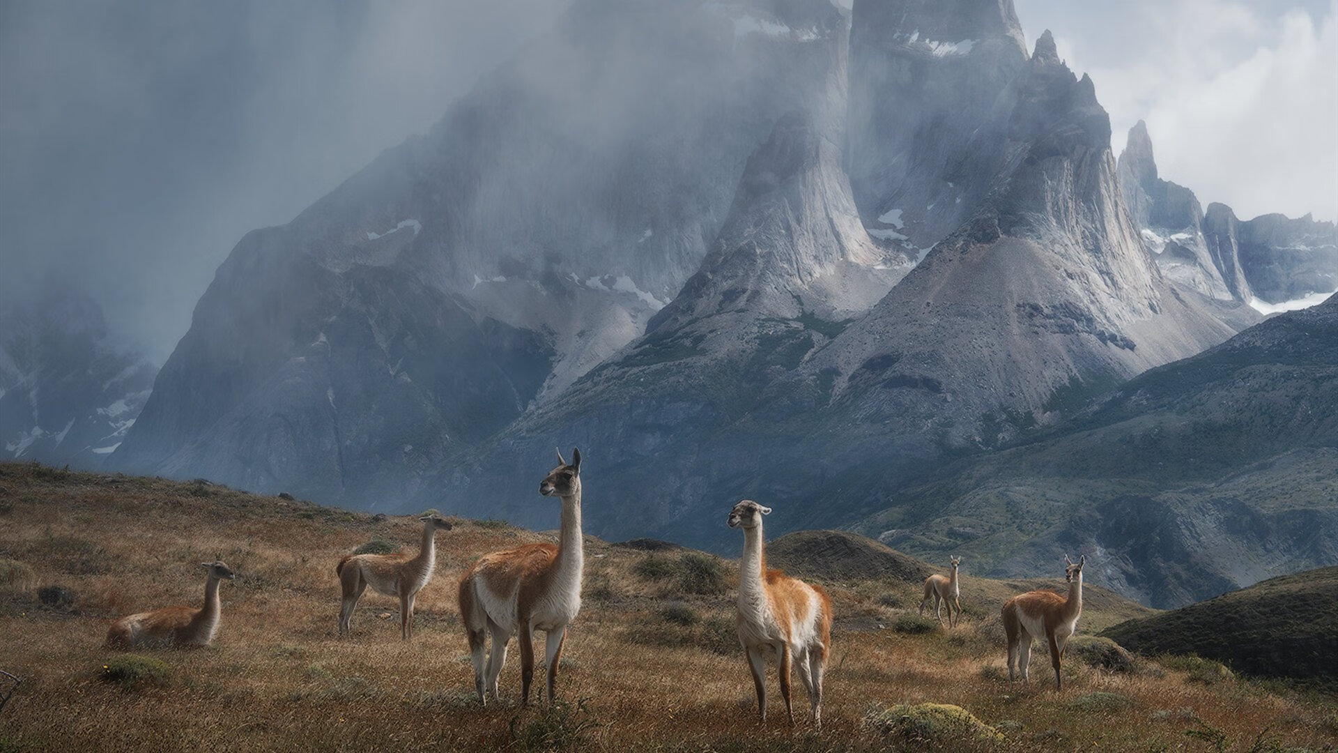 克罗地亚男篮在欧洲锦标赛中表现出色,迈向新辉煌