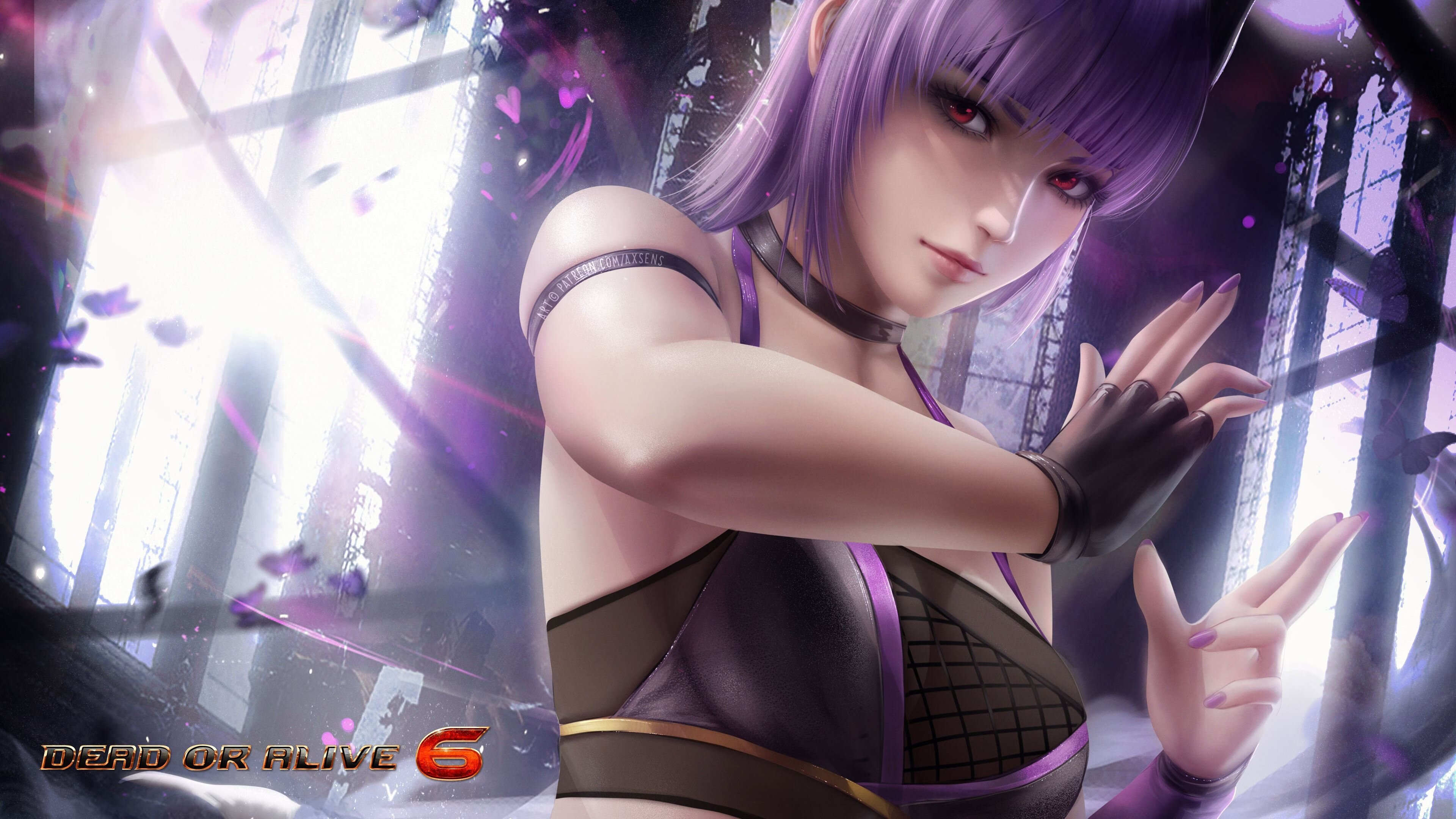 美洲杯球队背后团队支持揭秘,美洲杯球队背后团队支持揭秘吗